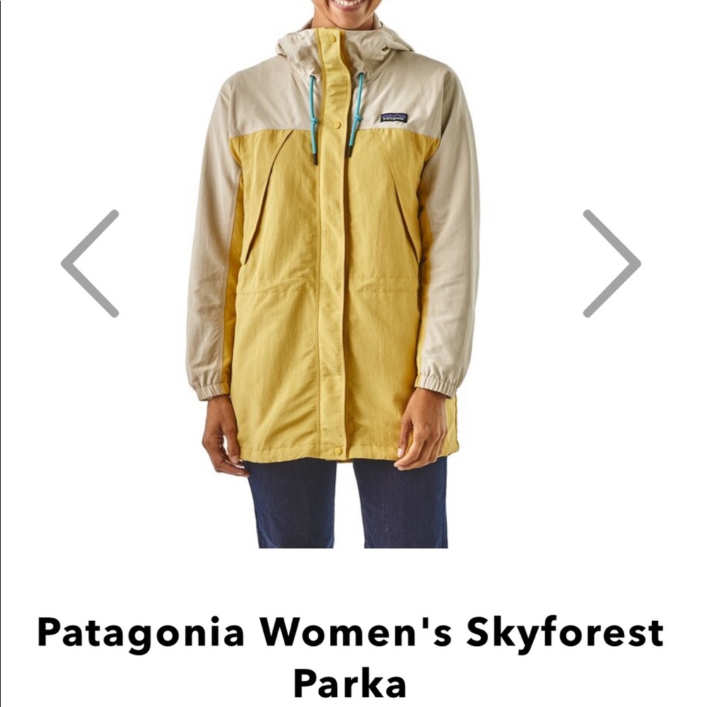 Women’s Patagonia sky forest parka